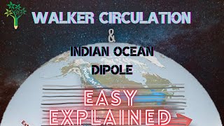 What Is WALKER CIRCULATION & Indian Ocean Dipole IOD? Why, How it occurs? Understanding the IOD.