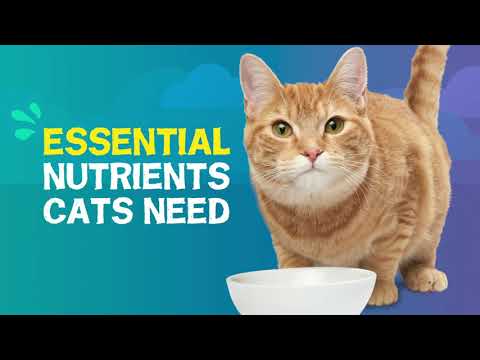 Purina Friskies Wet Cat Food Variety Pack