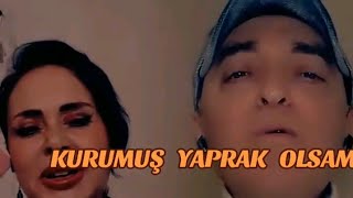 🦋  KURUMUŞ   YAPRAK   OLSAM  🦋  2️⃣  Kırgın 