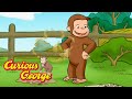 George the food thief! 🐵 Curious George 🐵 Kids Cartoon 🐵 Kids Movies