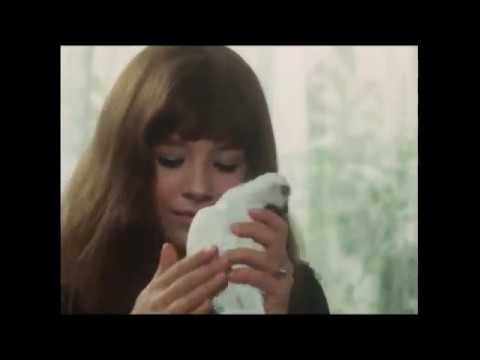 lana-del-rey-the-blackest-day-(valerie-and-her-week-of-wonders)