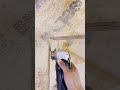 Festoon OSC18 in action