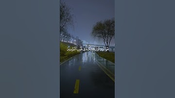 🎧📹 لا تفوّت هذا الفيديو القرآني الذي يجمع بين الخُشوع، جمال التلاوة، وصفاء الصوت.
