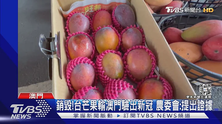 台湾芒果输澳门验出新冠 农委会:提出证据｜TVBS新闻 - 天天要闻