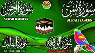 Ep 223 Surah Yaseen  Surah Rahman  Surah Waqiah  Surah Mulk  4 Quls  @IQRAALQURANKARIM