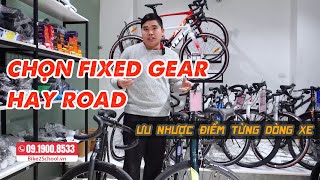 Road bike và Fixed gear chọn xe nào ngon hơn?
