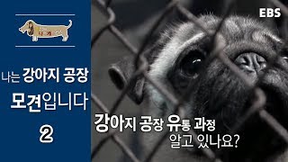 세상에 나쁜 개는 없다  나는 강아지공장 모견입니다_#002