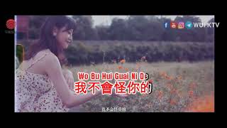 Ren Ran 任然 - Wu Ren Zhi Dao 井朧不删  KTV [NO VOCAL] [KARAOKE] [PINYIN]