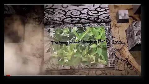 The Story behind Naranjo en Flor