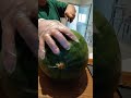 satisfying cutting water melon with sound #short #asmr #watermelon #sound