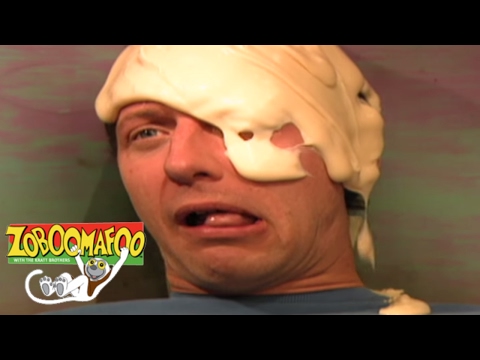 🐒 🍌 Zoboomafoo 131 - Funny Faces | HD | Full Episode 🐒 🍌