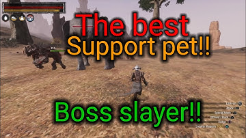 The best support pet!! kill any boss super easy conan exiles 2024 age of war chapter 3