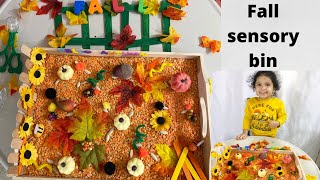 Fall sensory bin /fall activities toddlers /sensory play /fall /diy activity/preschool activity