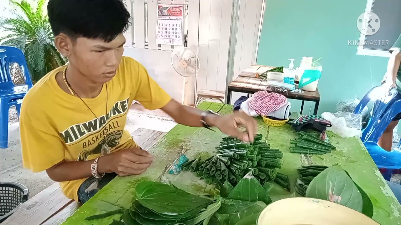 การมวน (จีบ) ใบพลู สร้างรายได้เป็นงานประจำ ทำได้เงินจริงกันทั้งหมู่บ้าน/สวนพลูทองคำ Story