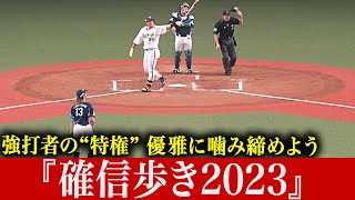 【豪快アーチに】強打者の特権『確信歩き2023』【酔いしれる】