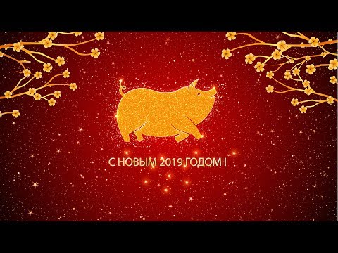 Видеосъемка детского праздника, Новогодний спектакль в школе