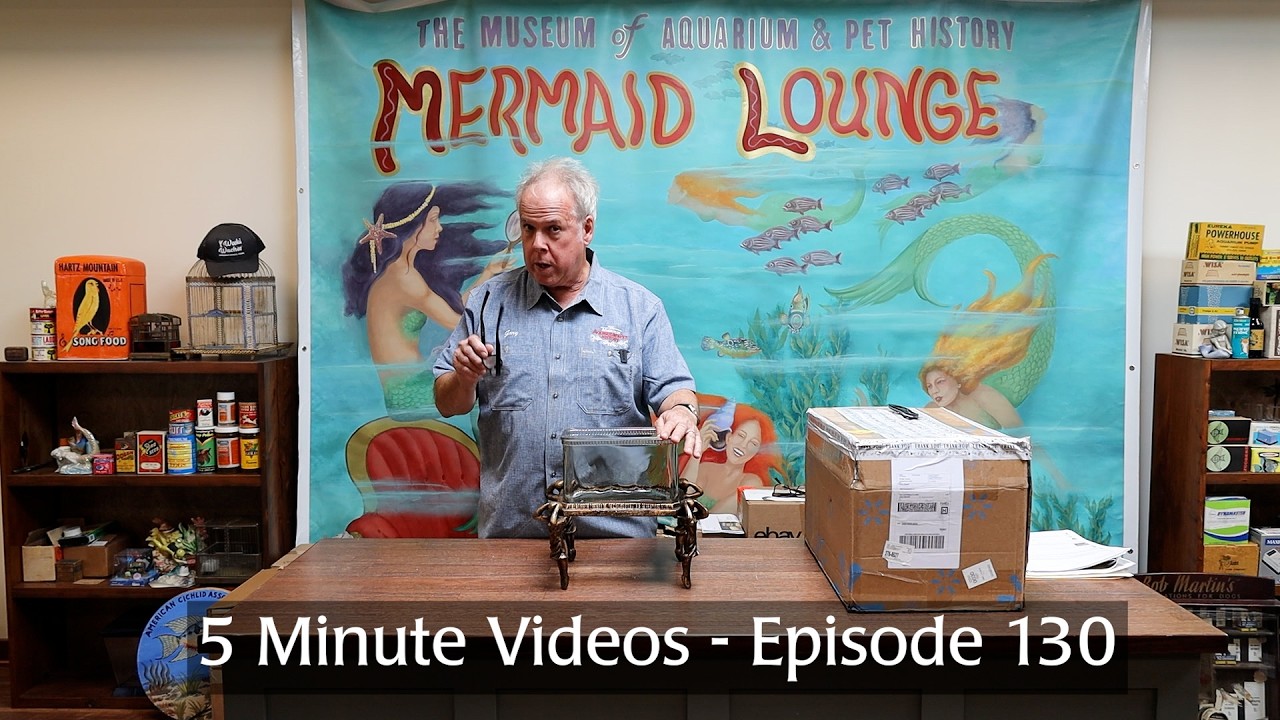 5 Minute Videos - Episode 130