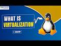 What Is Virtualization? | The Ultimate Beginner’s Guide to Virtual Machines & Cloud Computing