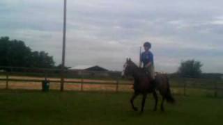 VID_00015-20100701-1853[1]