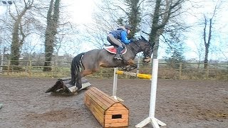 Callie jumping & XC at home.