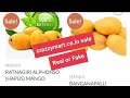Crazzymartcoin review l crazzymartcoin real or fake  guyyid mango