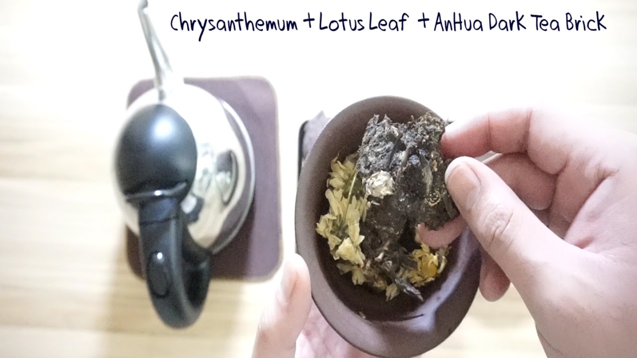 Steeping Dark TeaChrysanthemum Lotus Leaf Dark Tea YouTube