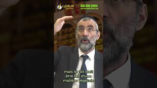 Quest-Ce Quune Soukah ? - 011 - Rav Ron Chaya