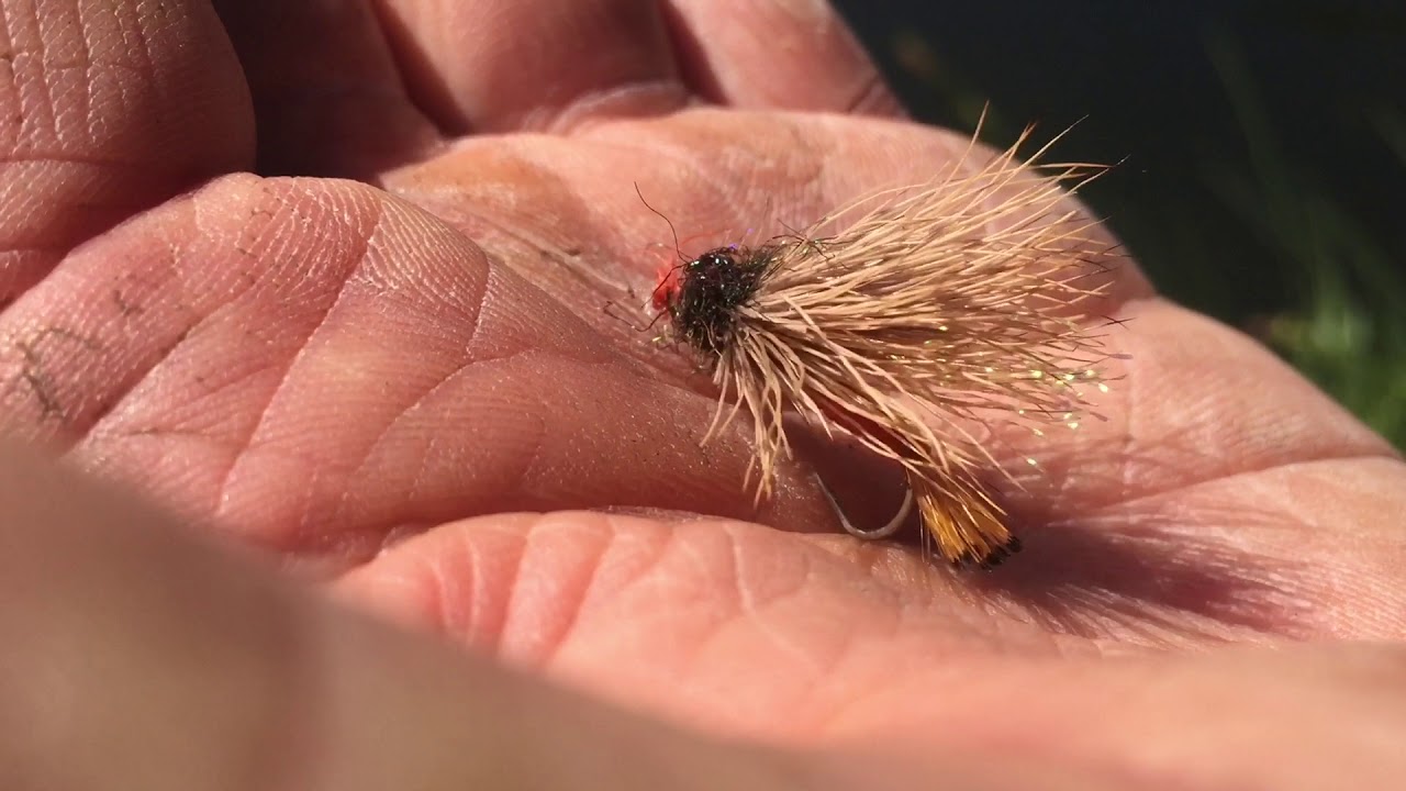 Rio Single Hand Spey for the Salmon Fly Hatch YouTube