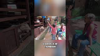 ¡Cuidado! Las Cabras Tienen Cuernos y Nombres Graciosos #shorts