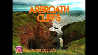 Arbroath cliffs
