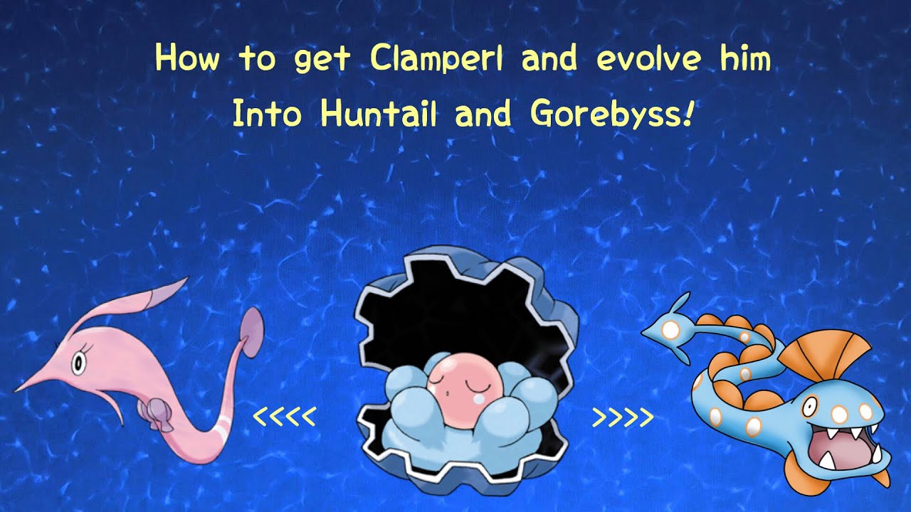 Clamperl Evolution Chart