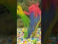 #aquafish #aquarium #shorts #viral #trending #fish #amazing #shortvideo #beautiful #new
