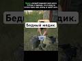 Было такое с вами? #squad #gaming #games #memes #мем #база #игры #игра