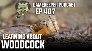 EP:407 | Learning About Woodcock
On this episode we’re joined by Dr. Scott McWilliams of URI to discuss a super secretive bird, the American Woodcock (Scolopax minor). There’s a lot to learn here and Scott does a masterful job explaining the idiosyncrasies of this unique species. We discuss their migration habits, breeding displays, peenting, hunting techniques, the difference between a woodcock and a snipe, how they trap them for studies and just what does a bird that eats earth worms taste like? This one may surprise you, and we bet you’ll soon be listening at sunset for their calls.
Listen, Learn, and Enjoy.
McWilliams Lab Website - https://mcwilliamslab.com/
Subscribe, like, and comment to support the show!
Stay connected with Gamekeepers:
🦆 Instagram: https://www.instagram.com/mossyoakgamekeepers/
🦌 Facebook: https://www.facebook.com/GameKeepers/
🦃 TikTok: https://www.tiktok.com/@gamekeepersofficial
🎣 Twitter: https://twitter.com/MOGameKeepers
Read the latest in Gamekeeping news at https://mossyoakgamekeeper.com/
Enter the Gamekeeper Giveaway : https://bit.ly/GK_Giveaway
Subscribe to Gamekeepers Magazine: https://bit.ly/GK_Magazine
Grab your Gamekeeper Calendar today at your local Tractor Supply Co or order online! https://bit.ly/49dpsLb
Join our Newsletters: Field Notes - https://bit.ly/GKField_Notes
Have a question for us or a podcast idea? Email us at gamekeepers@mossyoak.com EP:407 | Learning About Woodcock