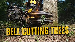 Bell Cutting Trees