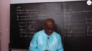 Course - CM2 - French: Vocabulary / synonyms / M. Gassama