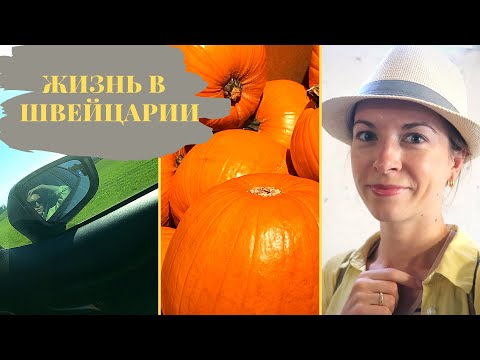 Жизнь в Швейцарии | За продуктами в Германию | Как покупать еще дешевле