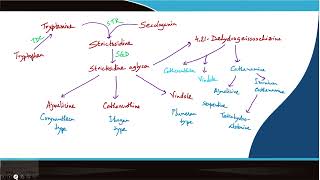 Lecture 24:Indole alkaloids â¬ Role of elicitors in modulating alkaloids... #swayamprabha #CH31SP