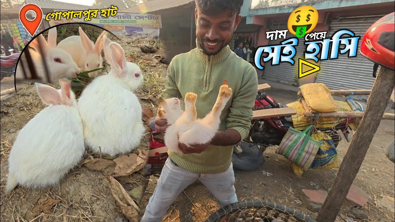 হাটে খরগোশের দাম এখন আকাশ ছোঁয়া ! 🤑 