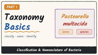 Bacterial Taxonomy Basics: Classification, Nomenclature & Identification | Part 1