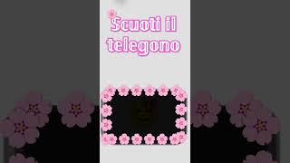 𝕤𝕔𝕦𝕠𝕥𝕚