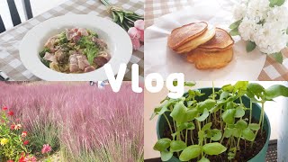 SUB) 살림이야기ㅣ나들이ㅣ집밥먹기ㅣ모던하우스ㅣ구독자이벤트ㅣ디자이너vlogㅣSubscribe event