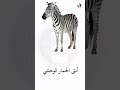 أنثى وصغير الحمار الوحشي بالفرنسية