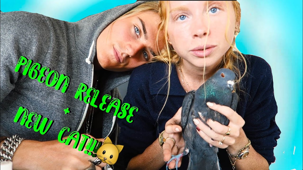 Мы спасли котенка прямо во время видеоблога!