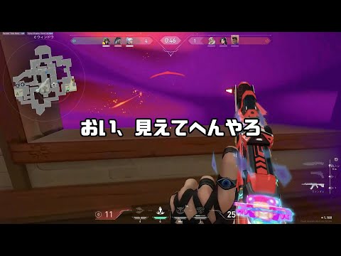 初めてチーターと出会った　【VALORANT】