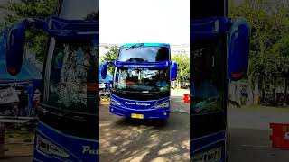 Unit Terbaru Bis Putra Remaja Mercy 1626 Autometic Body Sangat Ganteng