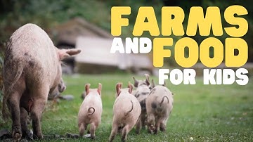 Farms and Food for Kids | Learn how food comes from a farm to your table