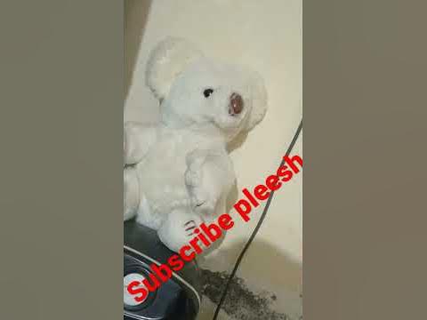 tedy - YouTube