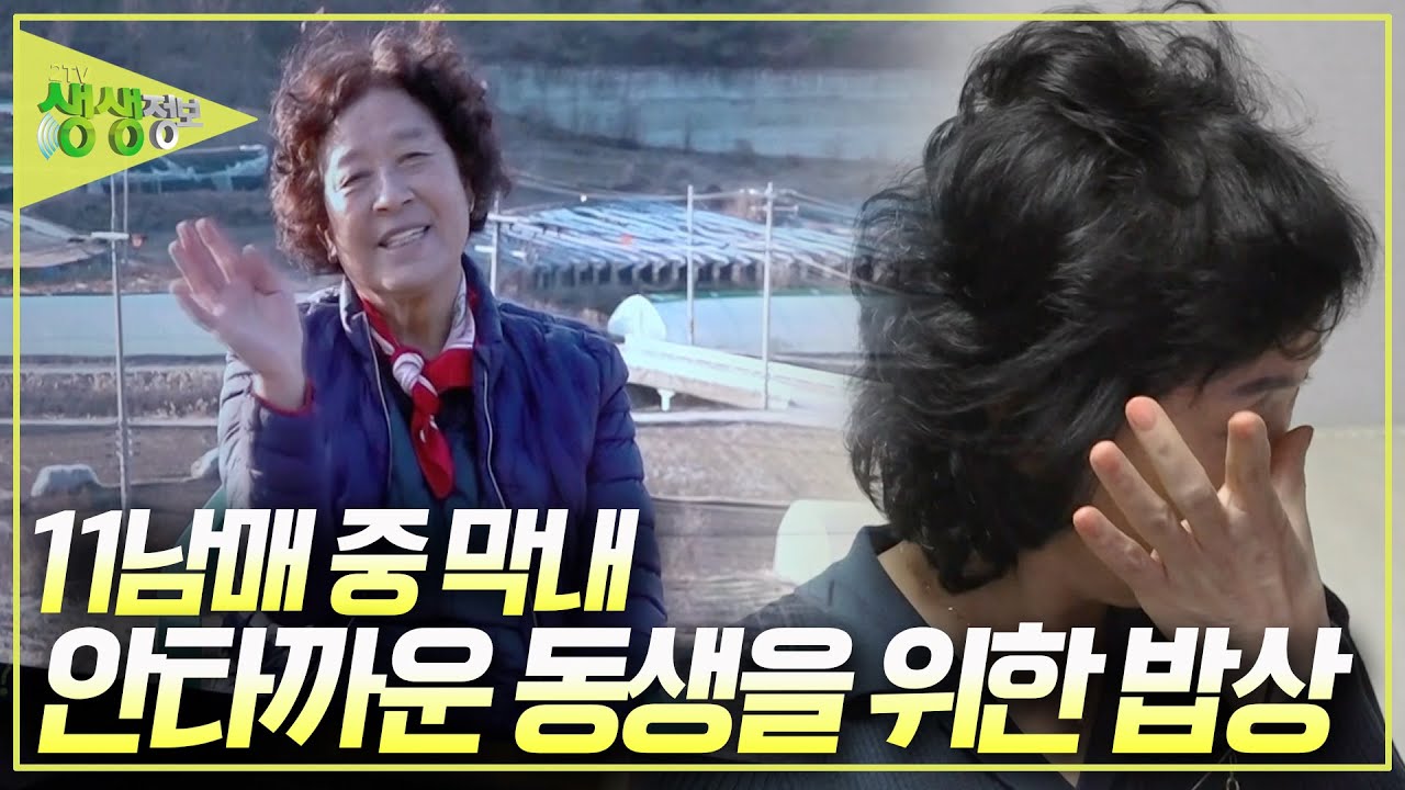 11남매 중 막내로 태어난 동생, 언니는 엄마 대신 막냇동생을 딸처럼 키웠습니다 [2TV 생생정보] KBS 250107 방송