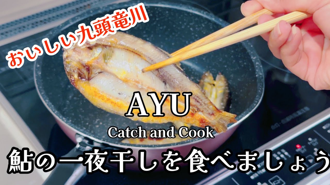 [鮎釣り] 九頭竜鮎を釣って一夜干しにしてフライパンで焼いておいしく食べます